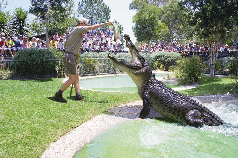 Australian Reptile Park