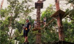 Currumbin TreeTop Challenge