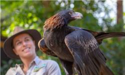 Currumbin Wildlife Sanctuary