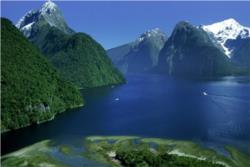 Doubtful Sound Wilderness Cruise from Queenstown.