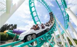 Dreamworld 1 Day Ticket