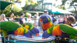 Experiences On Sale and Hot Deals
