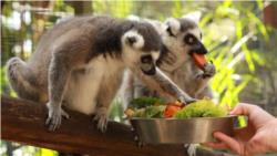 Gorge Wildlife Park General Admission Tickets