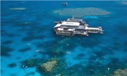 Great Barrier Reef Cruise to Quicksilver Port Douglas Pontoon