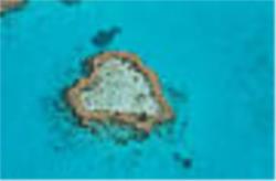 Panorama Tour - Great Barrier Reef, Whitehaven Beach and Whitsunday 