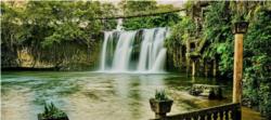Rainforest, Waterfalls & Paronella Park Day Tour