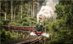 Puffing Billy Belgrave to Lakeside Return Tickets