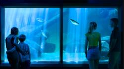 SEA LIFE Sunshine Coast Entry Tickets