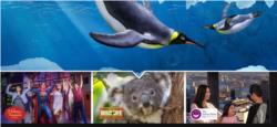 The best experiences On Sale