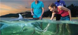 Transfers Tours in Gold Coast