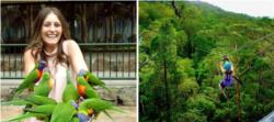 TreeTop Challenge & Currumbin Sanctuary Ticket Combo