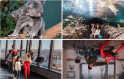 Ultimate Sydney Attractions Pass