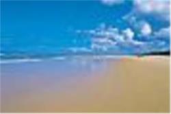 WHAT TO DO - TOURS - FRASER ISLAND