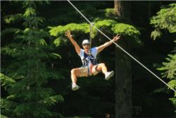Ziptrek Moa Tour
